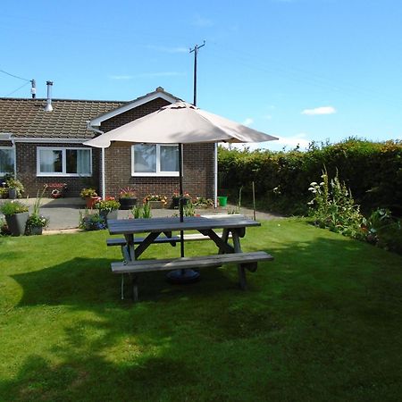 Immaculate 2 Bedroom Bungalow Close To Beaches Pendine Eksteriør billede